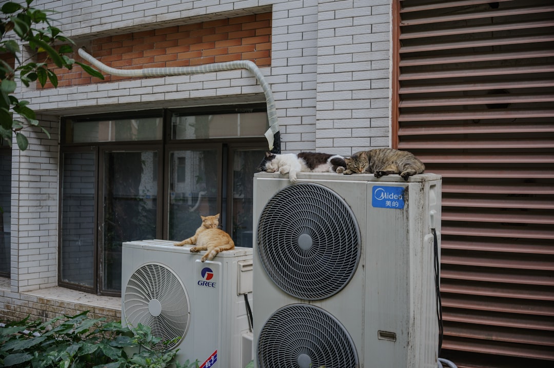 AC On But Not Cooling? Common Reasons & What to Do