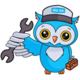 Wise Guys logo