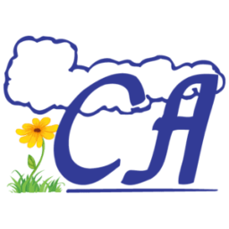 Country Air logo