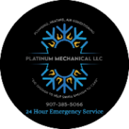 Platinum Mechanical logo