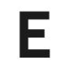 Esi Services logo