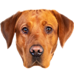 Best Care Plumbing Heating And Air - Madison, AL logo