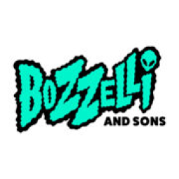 Bozzelli And Sons Heating And Air logo