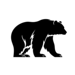 Bear Comfort Inc. logo
