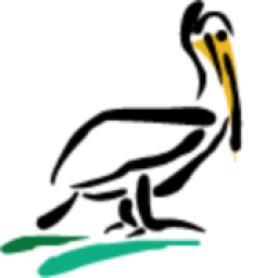 Pelican Wireless Systems logo