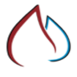 Detroit Furnace logo