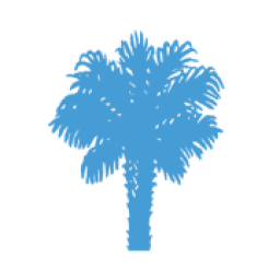 Palmetto Air And Water Balance logo