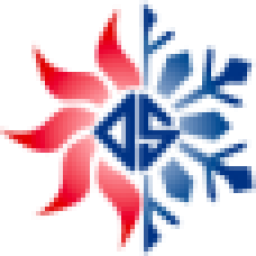 Dealer Supply logo