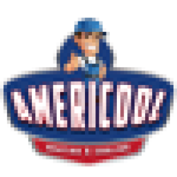 Americool Heating And Cooling - Richmond, VA logo