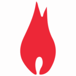 American Combustion Industries Inc. logo