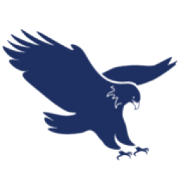 Eagle Air Service logo