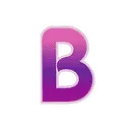 Brian and Sons Heating and Air Conditioning logo
