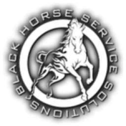 Black Horse Pike Plumbing & Heating logo