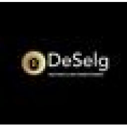 Deselg Plumbing Heating Air Conditioning logo