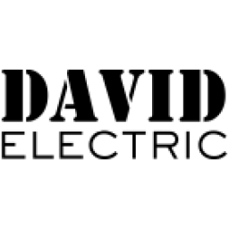 David-Electric logo