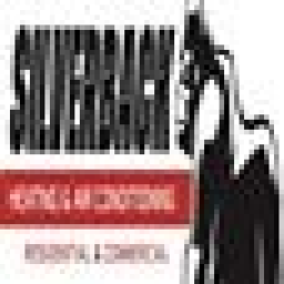 Silverback Heating And Air Conditioning logo