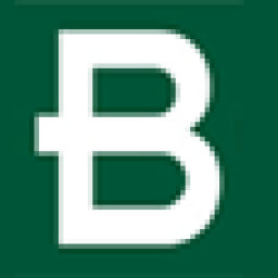 Best Energy logo