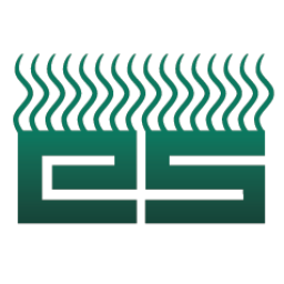 Emerson Swan Inc. Randolph logo