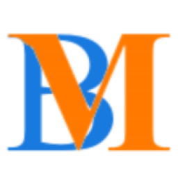 Boris Mechanical logo