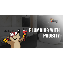 Molberg Plumbing logo