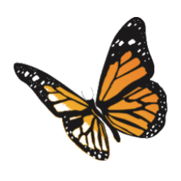 HomeSmart Cleaning Specialties logo