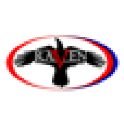 Raven HVAC logo