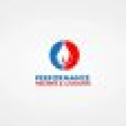 Performance Heating & Cooling - Kissimmee, FL logo