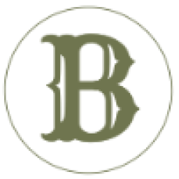 Burls Plumbing logo