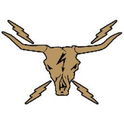 Texas Live Wire logo