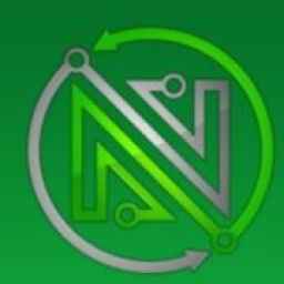 Norris Services logo