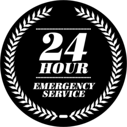 Professional Electric logo