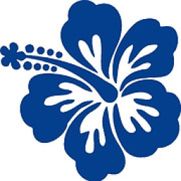 Del Mar Electric logo