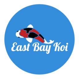 East Bay Koi logo