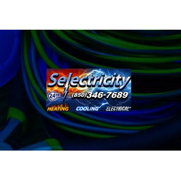 Selectricity logo