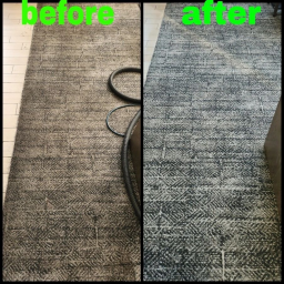 Filthy 2 Clean Steam Team Carpet/Upholstery/ Tile Floor Cleaning logo