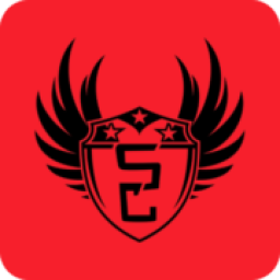 Stealth Control Systems logo