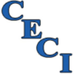 Canyon Electric Company logo
