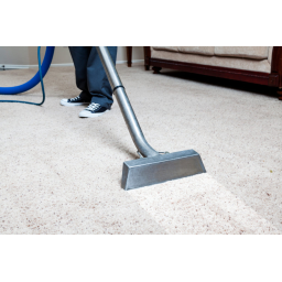 ThoroClean logo