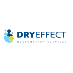 Dry Effect logo