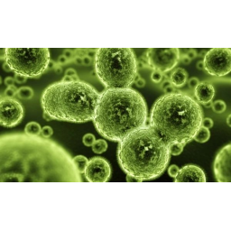 Environmental Testing Associates logo