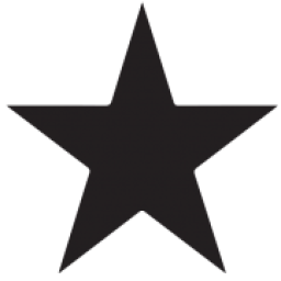 Austin Plumbing logo