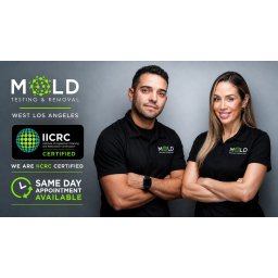 Mold Testing & Mold Removal Services Dallas logo