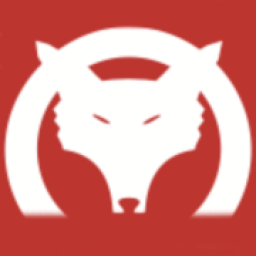Fox Electric Ltd logo