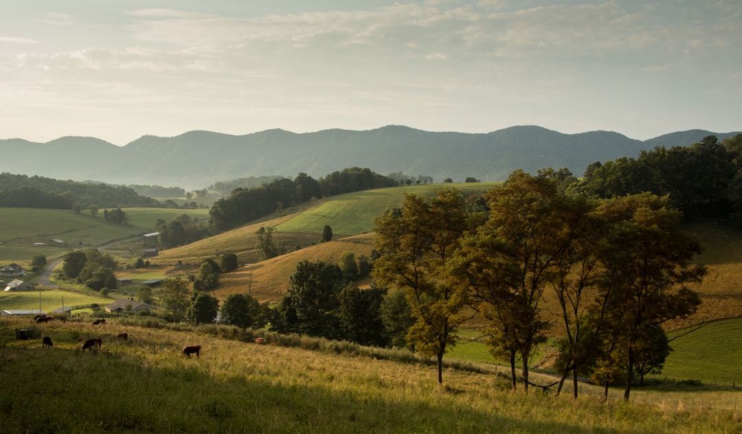 Virginia HVAC services